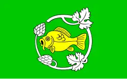 Vlag van gemeente Krasnystaw