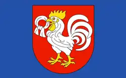 Vlag van gemeente Kurów