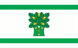 Vlag van gemeente Ojrzeń