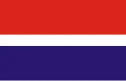 Vlag van gemeente Parzęczew