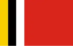 Vlag van gemeente Radziejów