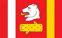 Vlag van gemeente Radzyń Podlaski