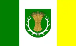 Vlag van gemeente Ruja