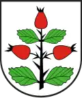 Wapen van gemeente Rzgów