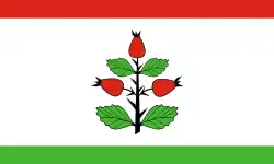 Vlag van gemeente Rzgów