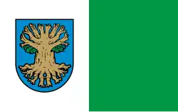 Vlag van gemeente Suchy Dąb
