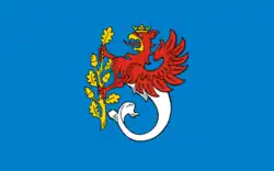 Vlag van gemeente Trzebielino