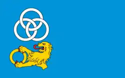 Vlag van gemeente Trzeszczany