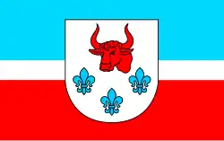 Vlag van gemeente Turek