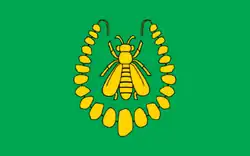 Vlag van gemeente Turośl