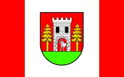 Vlag van gemeente Wielbark