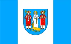 Wielka Wieś (gemeente)