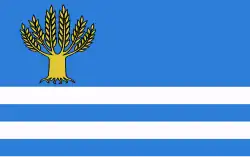 Vlag van gemeente Wietrzychowice