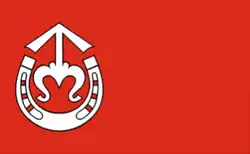 Vlag van gemeente Wojciechów