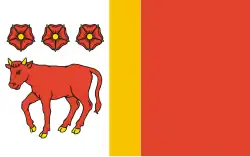 Vlag van gemeente Wojcieszków