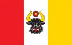 Vlag van gemeente Zwierzyn