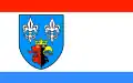 Vlag van Bełchatów