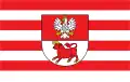 Vlag van Bielsk Podlaski