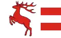 Vlag van Brodnica