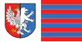 Vlag van Lubartów