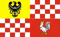 Vlag van Oława