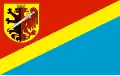 Vlag van Radziejów
