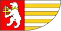 Vlag van Radzyń