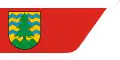 Vlag van Suwałki