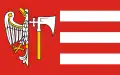 Vlag van Wągrowiec