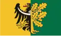 Vlag van Wałbrzych