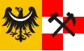 Vlag van Złotoryja