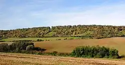 Heuvel in natuurreservaat Milská stráň