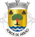 Vlag van Foros de Arrão