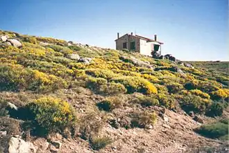 Puero de peña negra