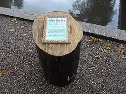 Afgezaagde boom met ingelijste tekst naast de brug in oktober 2017