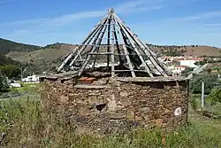 Exemplaar in de buurt van het dorp Mealha