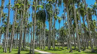 Aanzicht Palmentuin in 2016