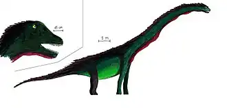 Paluxysaurus