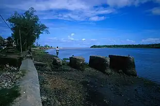 De rivier vlak bij de riviermonding