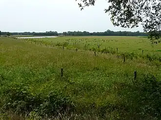 Een aantal door het Brabants Landschap herstelde vloeiweiden langs de Bijloop