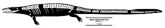 Pannoniasaurus