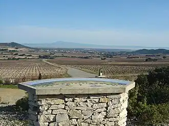 Wijngaarden bij Tavel