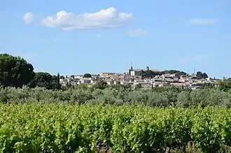 Gezicht op Gallargues-le-Montueux