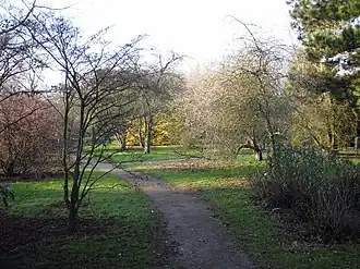 Arboretum