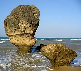 Oost-Timor (foto: nov 2006).