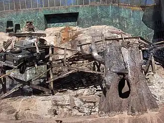 Verblijf voor mantelbavianen