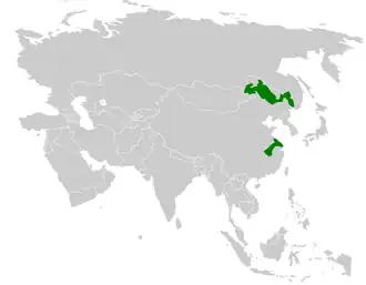 Heudes diksnavelmees