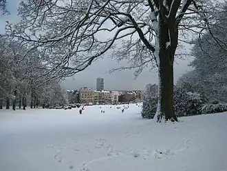 Park van Vorst in de winter