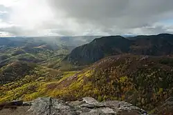 Het park in de herfst