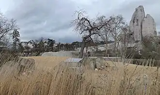 Addaxen voor de "Grand Rocher"